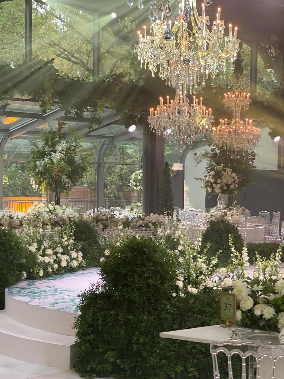 Verrière parisienne avec lustres en cristal, végétation luxuriante et jets de lumière
